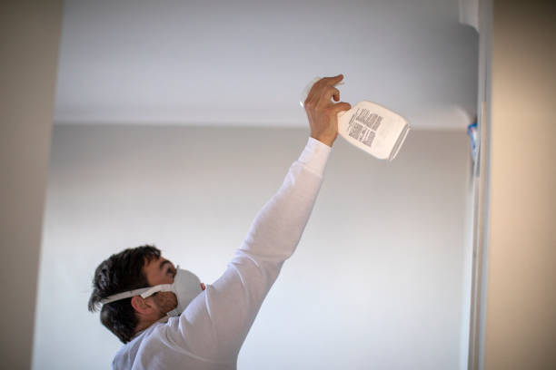 Best Crawl Space Mold Removal  in Minneapolis, MN